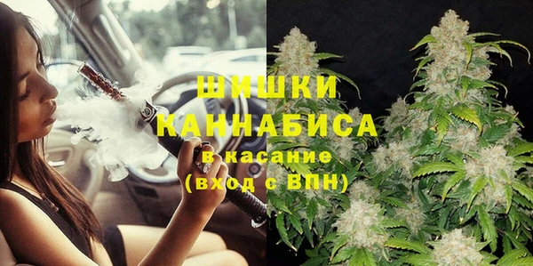 прущие грибы Аркадак