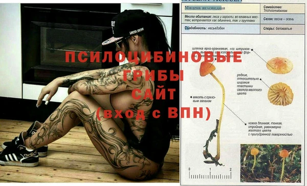 метадон Абинск
