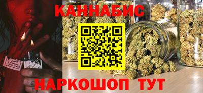 МДПВ Гатчина