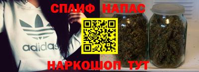 МДПВ Гатчина