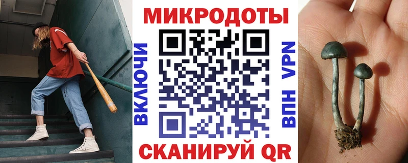 хочу   кракен ССЫЛКА  Галлюциногенные грибы Psilocybe  Касимов 