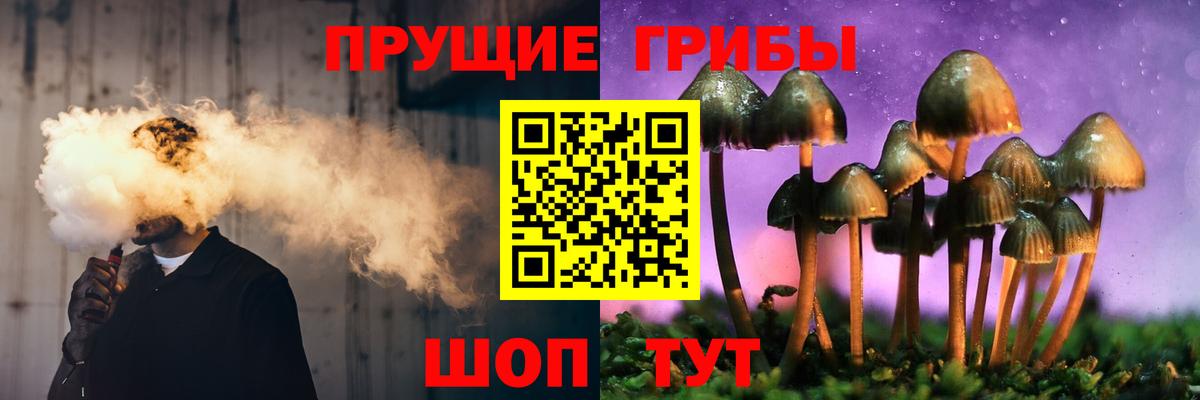 Псилоцибиновые грибы мицелий  Галлюциногенные грибы ЛСД  Вход с VPN  Касимов 