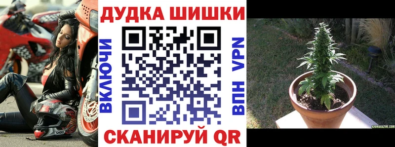 магазин  наркотиков  Касимов  сайты даркнета телеграм  Марихуана AK-47 